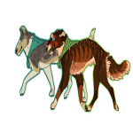 MostlyMoose Avatar