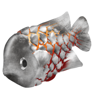 Kintsugi Fish