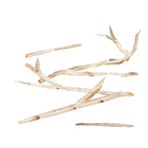 Sticks