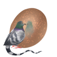 510-image.png